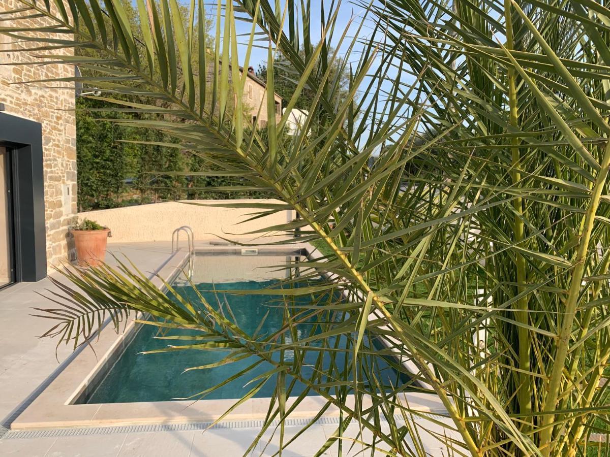 Villa Carica Krasica  Екстериор снимка